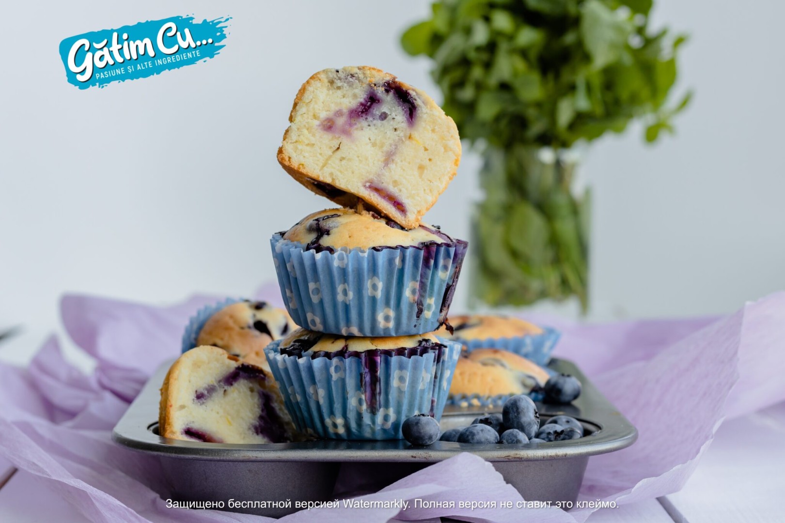 Blueberry Muffins (2 recipes)