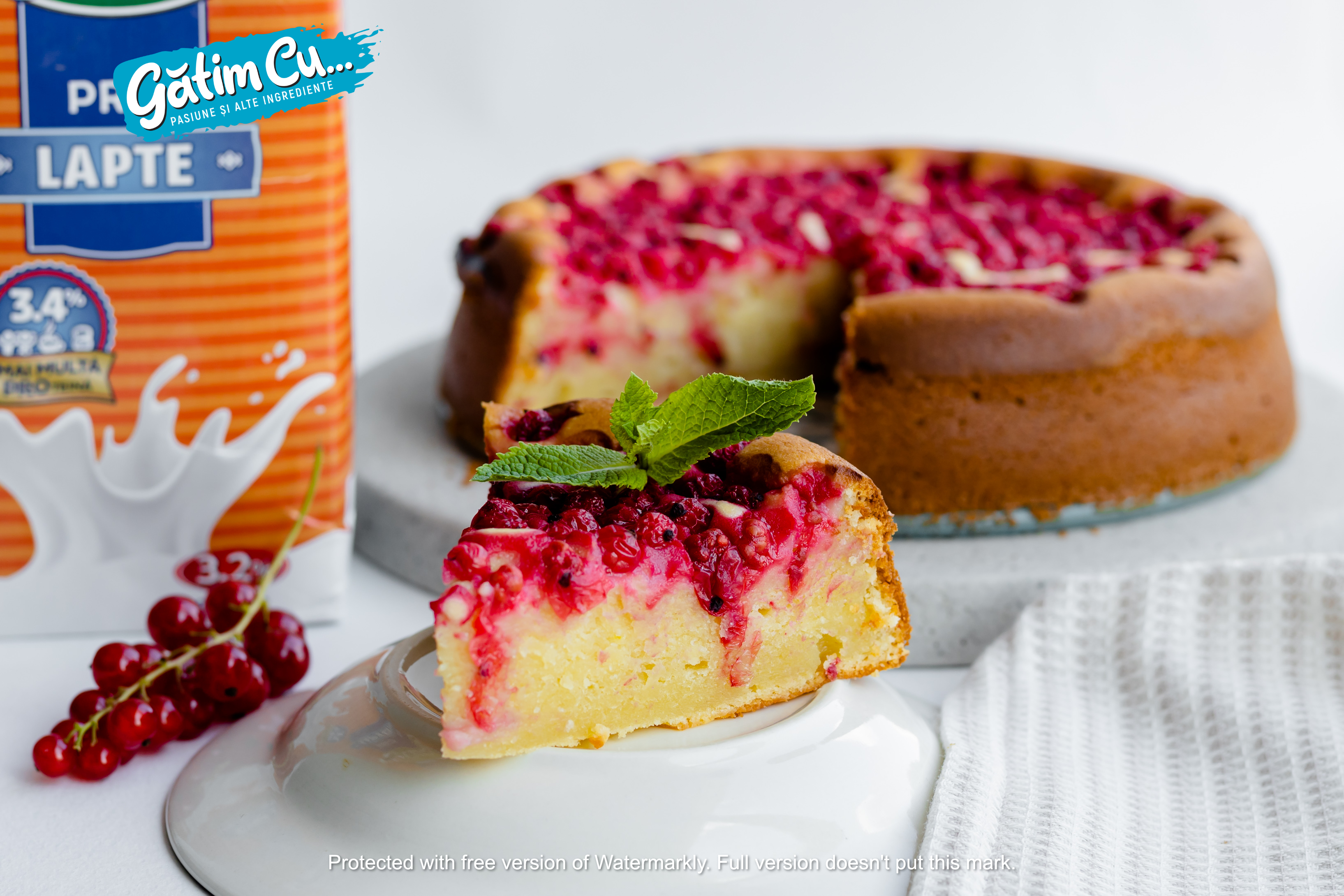 Chec cu coacăză roșie