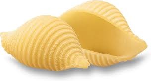 Paste Сonchiglie (Scoici)