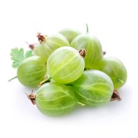 Gooseberry