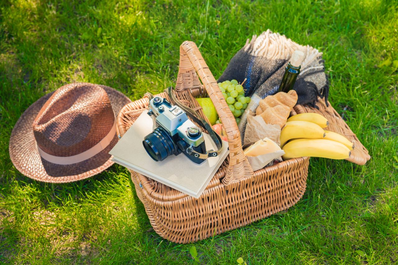 Picnic dishes outdoors: tips and recipes
