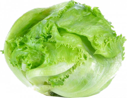 Salată Iceberg